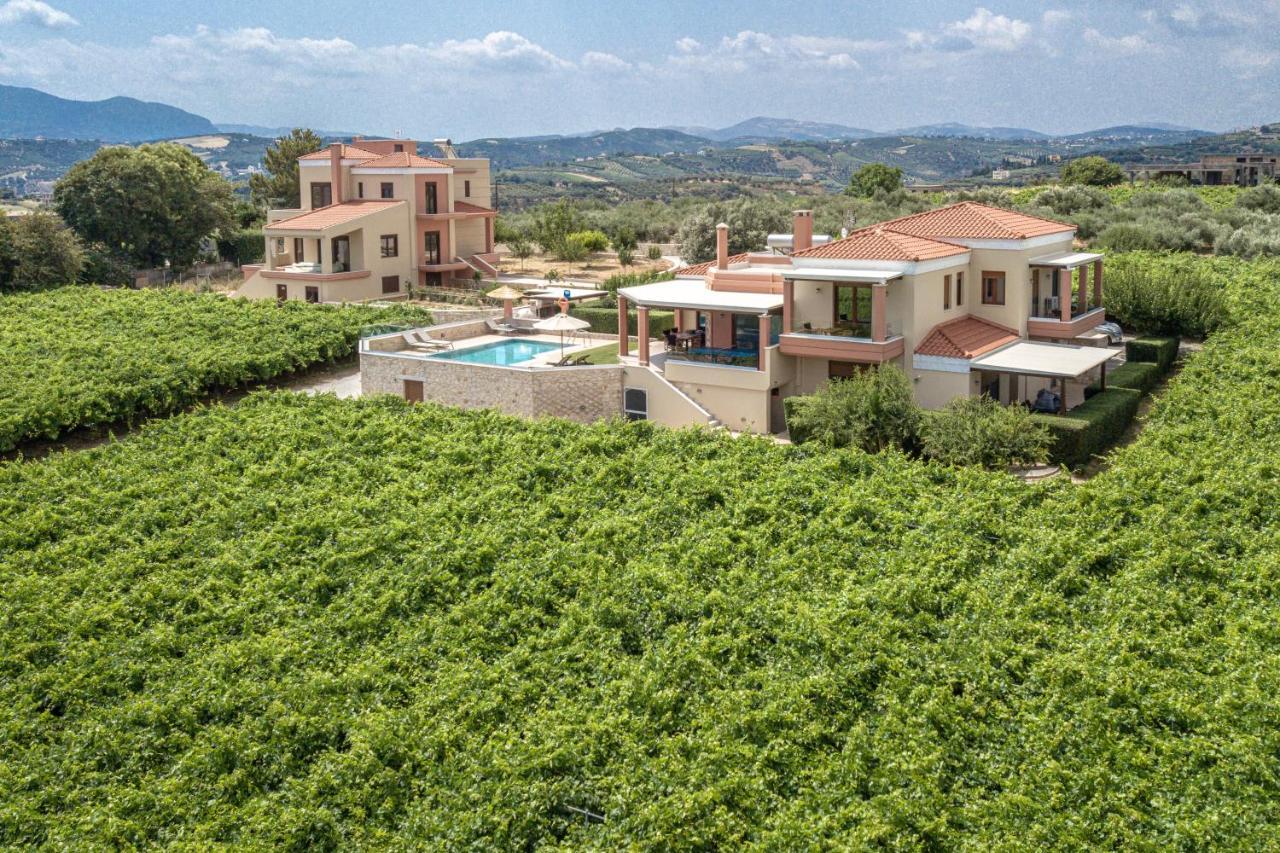 Cretan Vineyard Hill Villa 2 Ano Kalesia 外观 照片